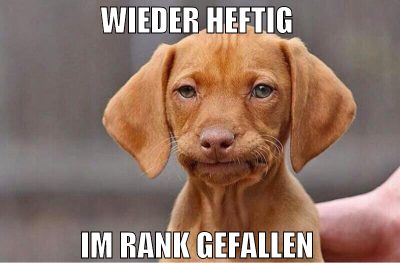 wieder heftig  im rank gefallen