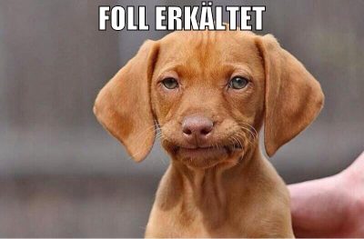 FOLL ERKÄLTET
