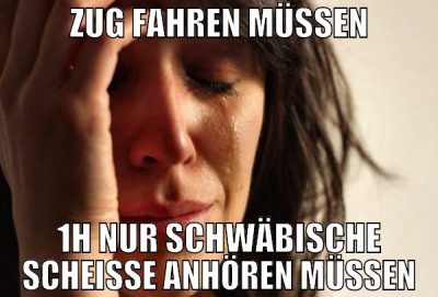 zug fahren müssen 1h nur schwäbische scheisse anhö