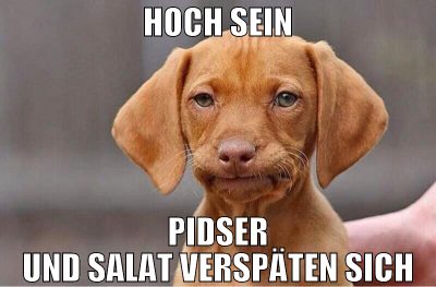 HOCH SEIN PIDSER UND SALAT VERSPÄTEN SICH
