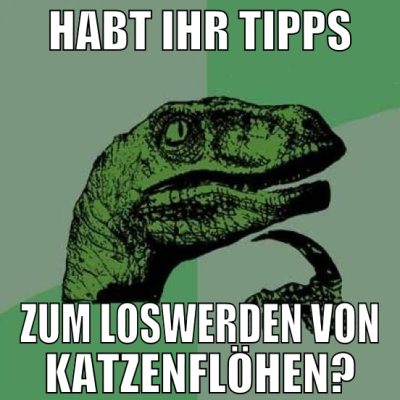Habt ihr tipps zum loswerden von katzenflöhen?