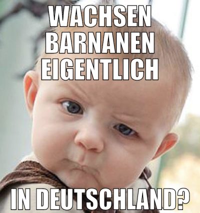 Wachsen Barnanen eigentlich In Deutschland?