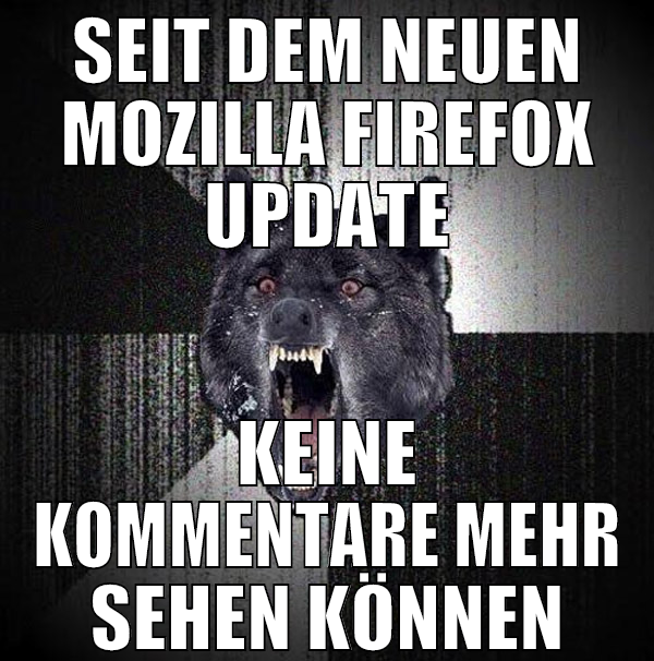 sEIT DEM NEUEN MOZILLA FIREFOX UPDATE KEINE KOMMEN