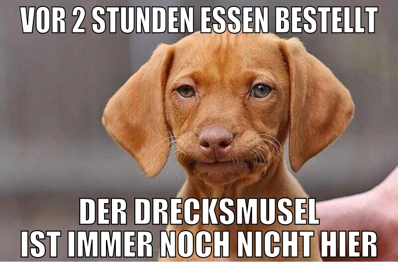 vor 2 stunden essen bestellt der drecksmusel ist i