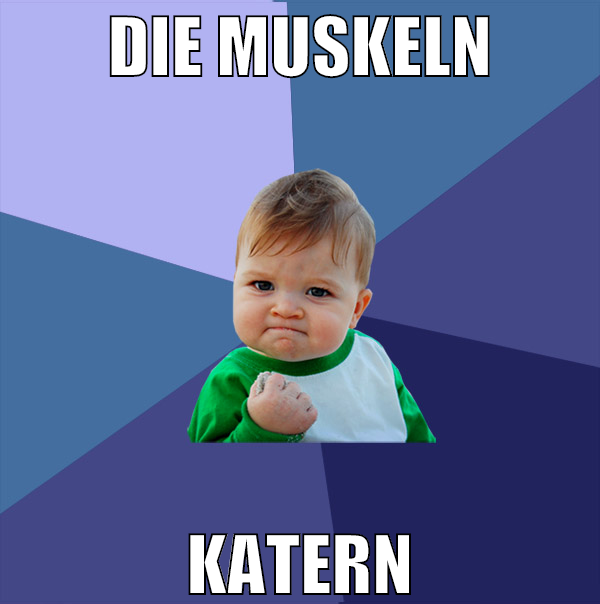 die muskeln katern