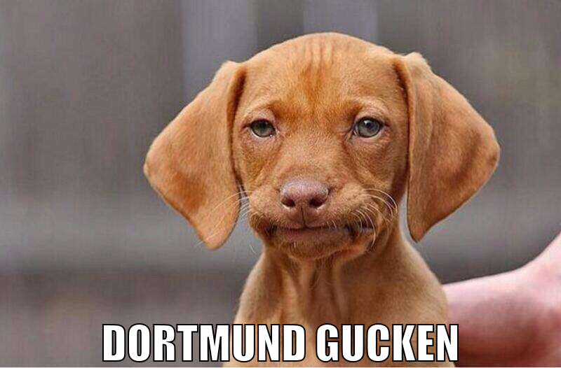 Dortmund gucken