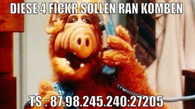 diese 4 fickr sollen ran komben  TS : 87.98.245.24
