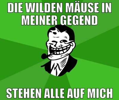 die wilden mäuse in meiner gegend stehen alle auf