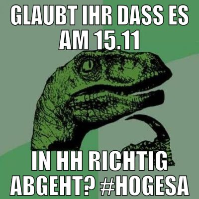 Glaubt ihr dass es am 15.11 in HH richtig abgeht?