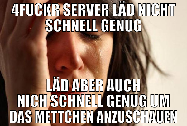 lustiges meme 1337 lol rofl