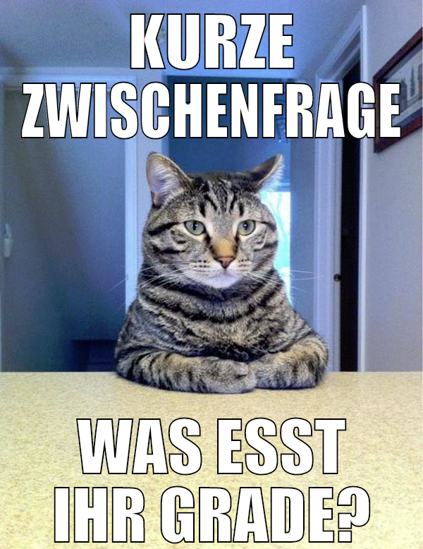 kurze zwischenfrage was esst ihr grade?