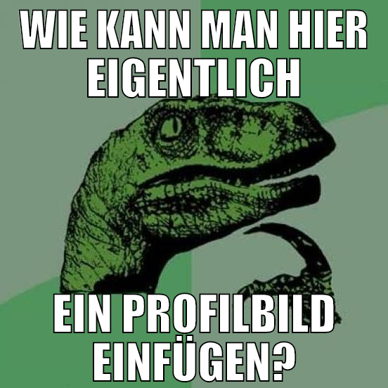 Wie kann man hier eigentlich ein Profilbild einfüg