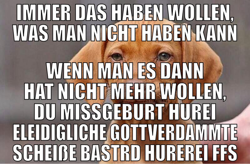 Immer das haben wollen, was man nicht haben kann w