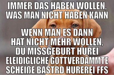 Immer das haben wollen, was man nicht haben kann w