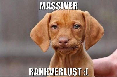 massiver rankverlust :(