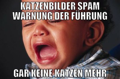 KATZENBILDER SPAM WARNUNG DER FÜHRUNG GAR KEINE KA