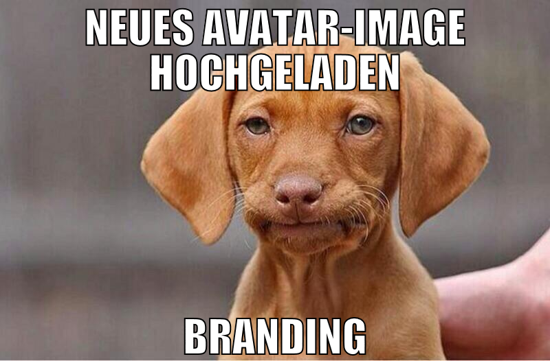 neues avatar-image hochgeladen branding