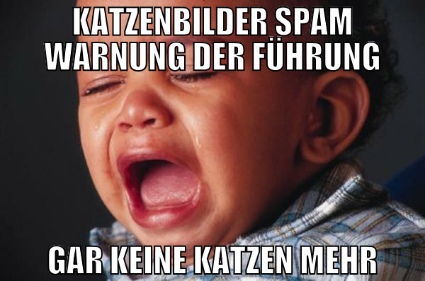 KATZENBILDER SPAM WARNUNG DER FÜHRUNG GAR KEINE KA