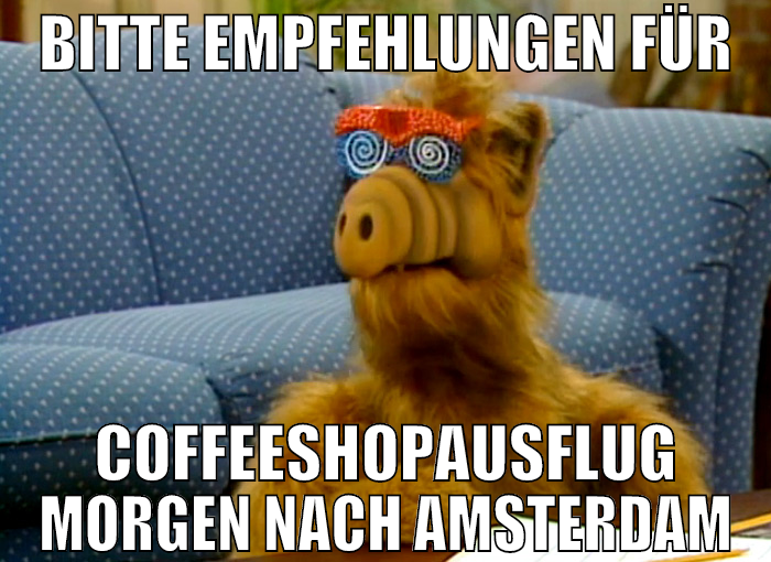 bitte empfehlungen für Coffeeshopausflug morgen na