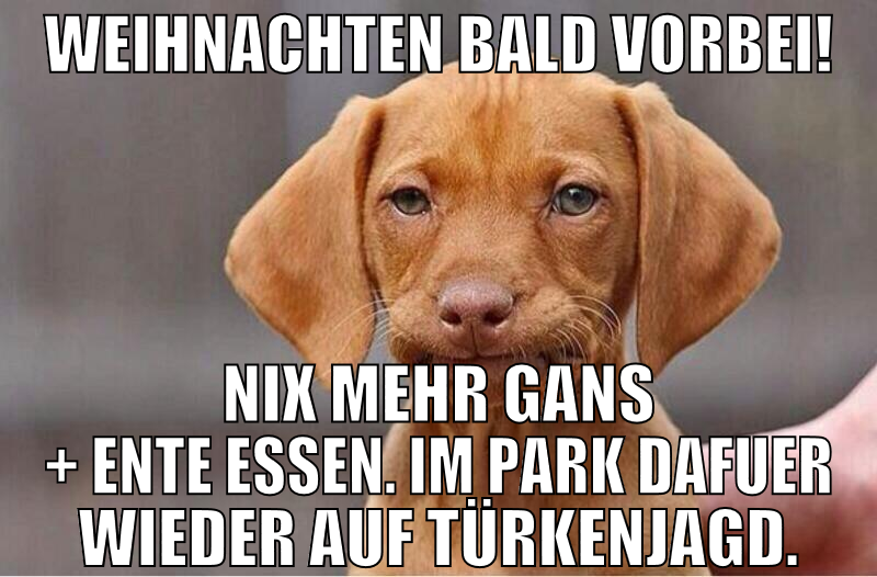 Weihnachten bald vorbei! Nix mehr Gans + Ente Esse