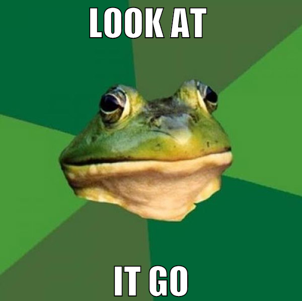 look at  it go
