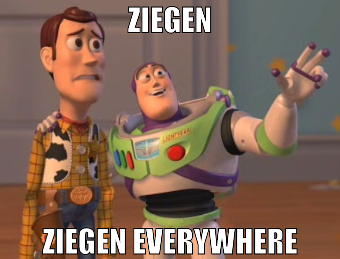 Ziegen Ziegen everywhere