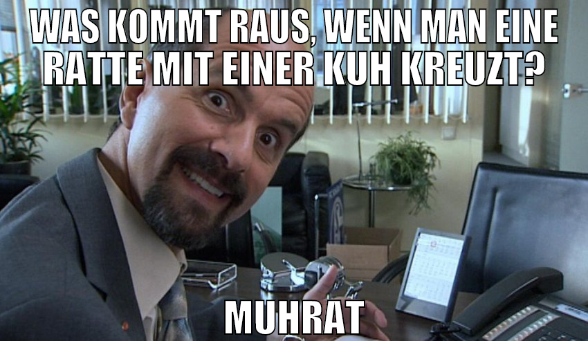 Was kommt raus, wenn man eine Ratte mit einer Kuh