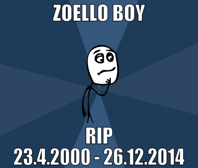 zoello boy RIP  23.4.2000 - 26.12.2014