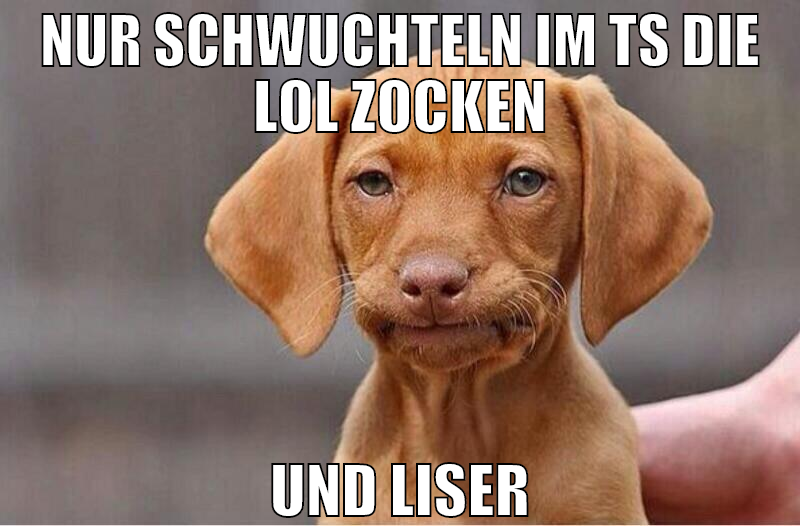 nur schwuchteln im ts die lol zocken und liser