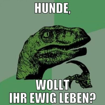 Hunde, wollt ihr ewig leben?