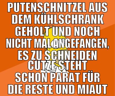 putenschnitzel aus dem kühlschrank geholt und noch