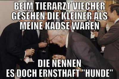 beim tierarzt viecher gesehen die kleiner als mein