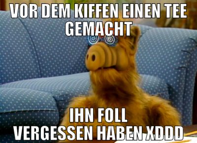 vor dem kiffen einen tee gemacht ihn foll vergesse