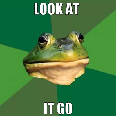 look at  it go