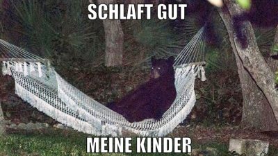 schlaft gut  meine kinder