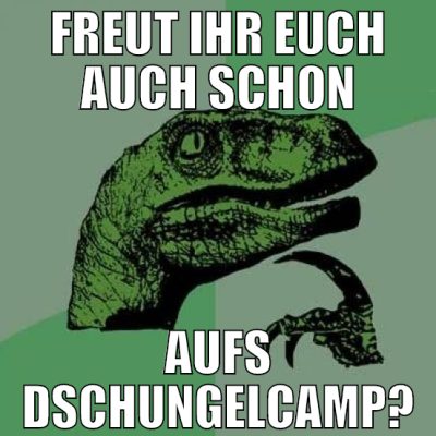 freut ihr euch auch schon aufs dschungelcamp?