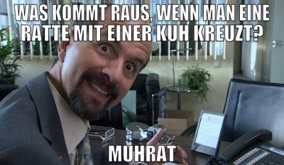 Was kommt raus, wenn man eine Ratte mit einer Kuh