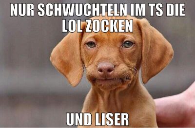 nur schwuchteln im ts die lol zocken und liser