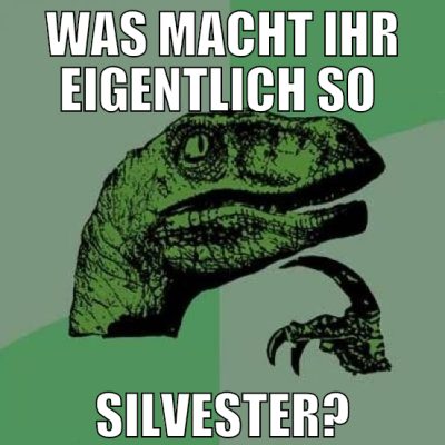 was macht ihr eigentlich so  silvester?