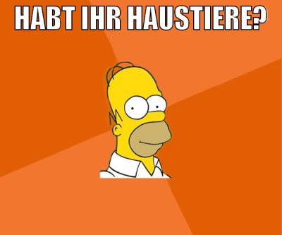 habt ihr haustiere?