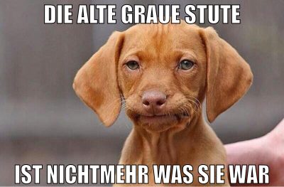 die alte graue stute ist nichtmehr was sie war