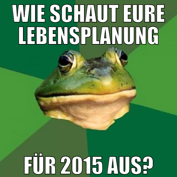 Wie schaut eure Lebensplanung für 2015 aus?