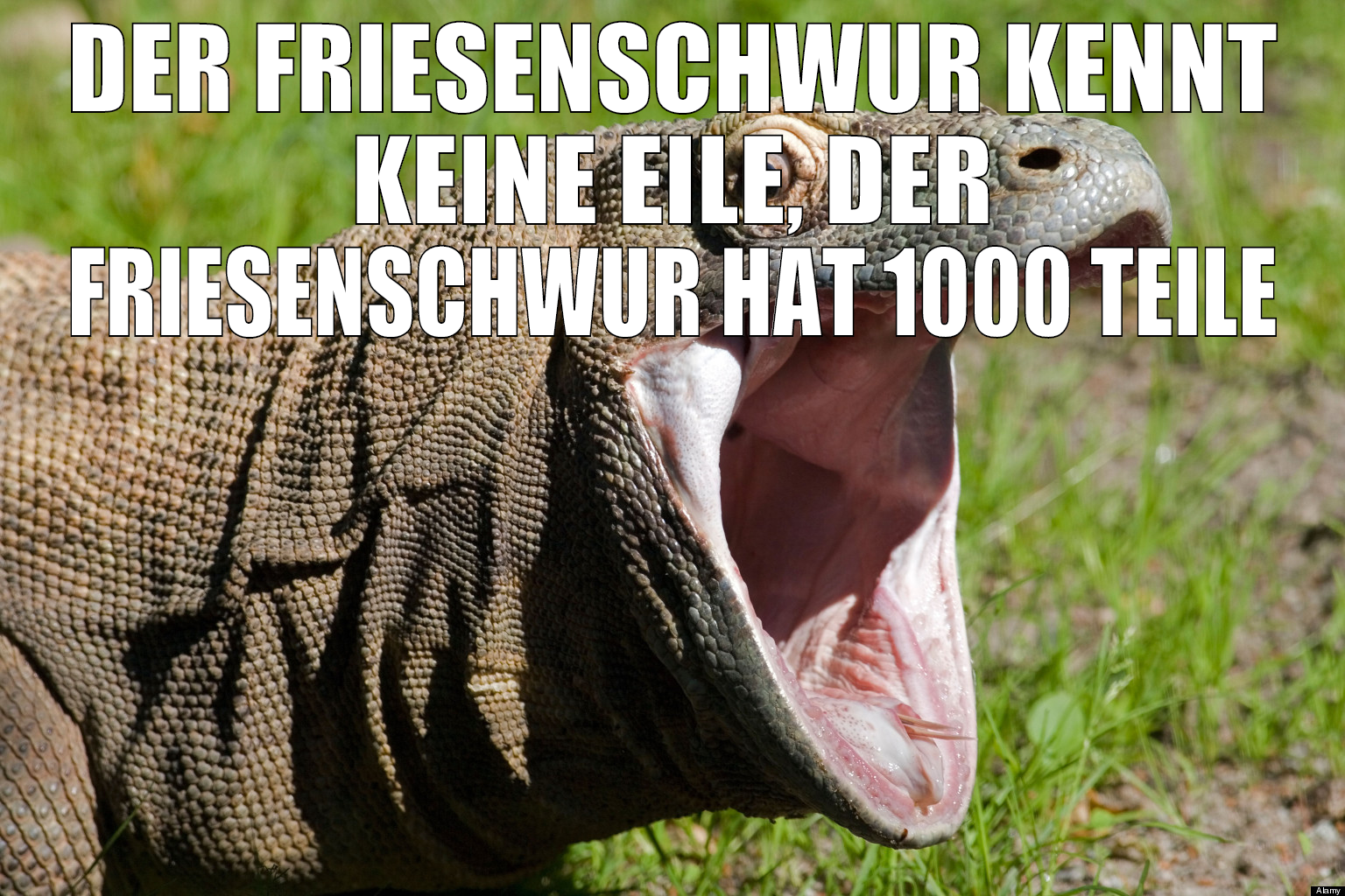 Der Friesenschwur kennt keine Eile, der Friesensch