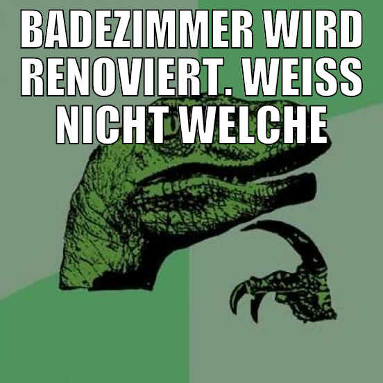 badezimmer wird renoviert. weiß nicht welche dusch