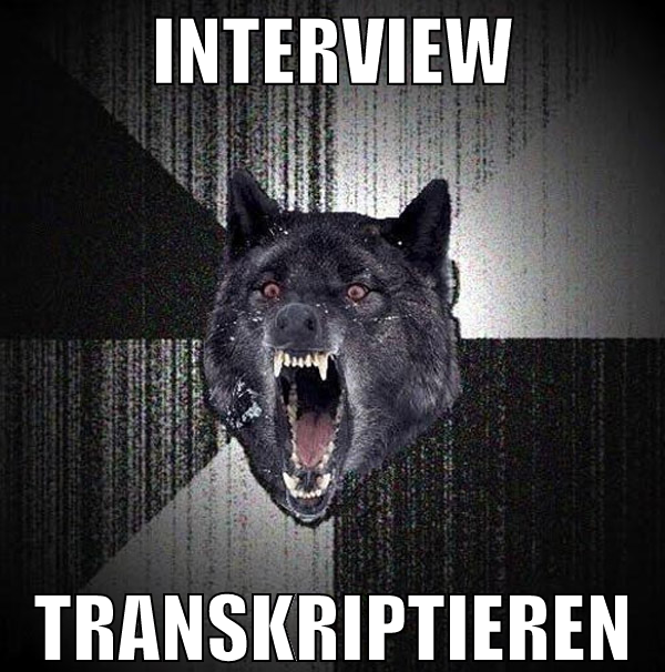 interview transkriptieren