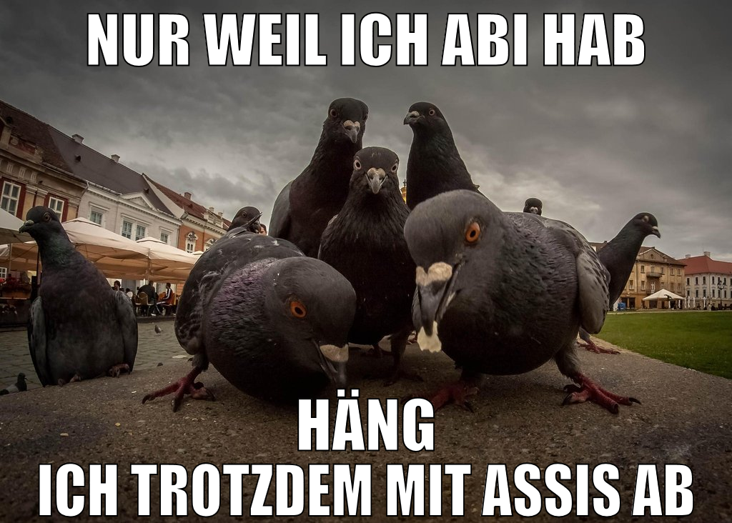 nur weil ich abi hab häng ich trotzdem mit assis a