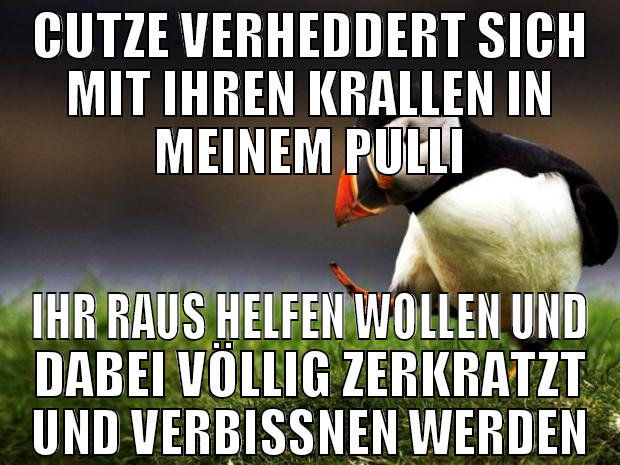 cutze verheddert sich mit ihren krallen in meinem