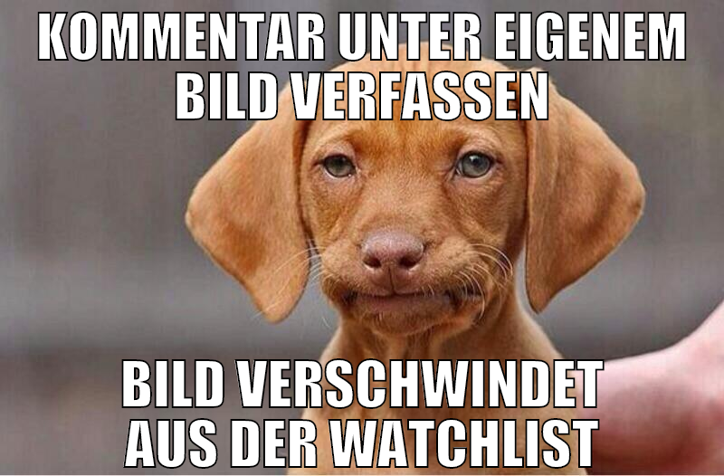 Kommentar unter eigenem Bild verfassen Bild versch