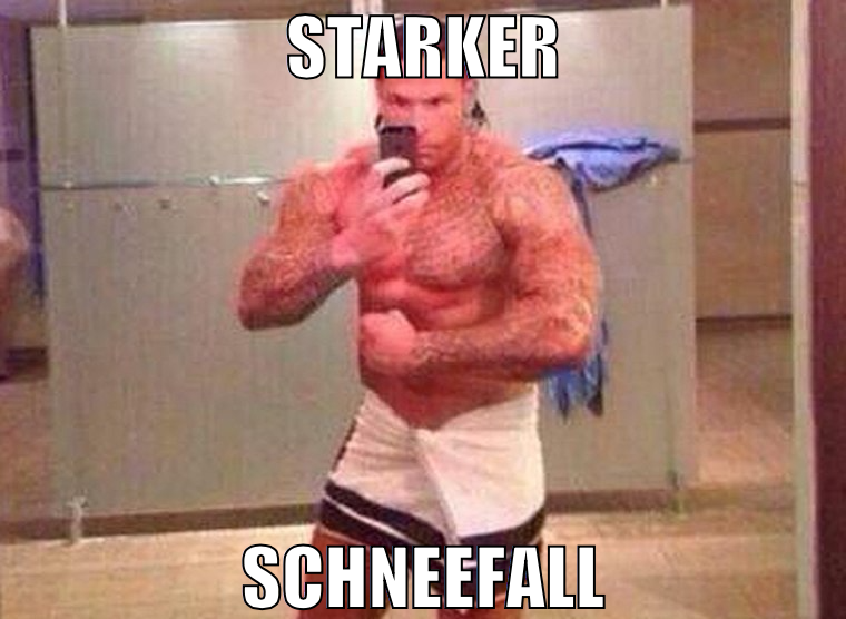 starker schneefall