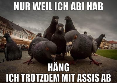 nur weil ich abi hab häng ich trotzdem mit assis a